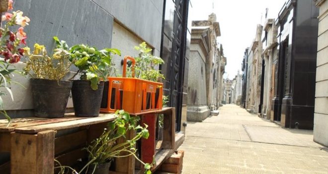 Кладбище Реколета (Аргентина)